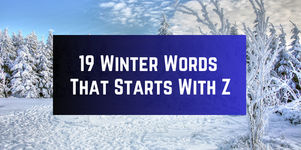 Winter Words That Starts With The Letter Z